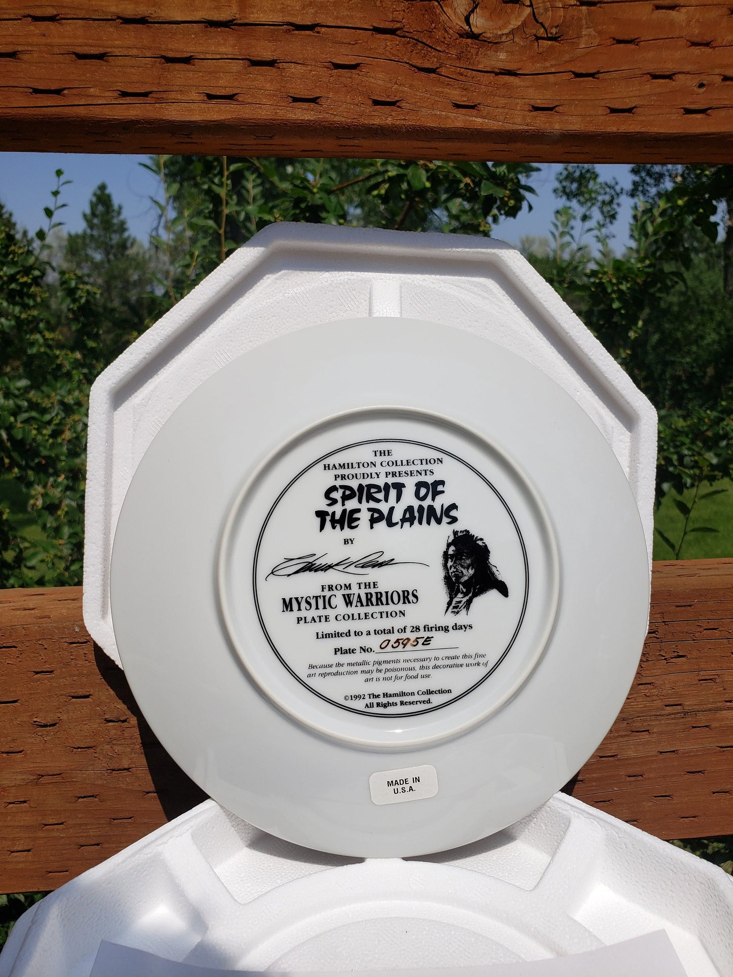 Hamilton Collection- Mystic Warrior Series- Spirit Of The Plains Plate
