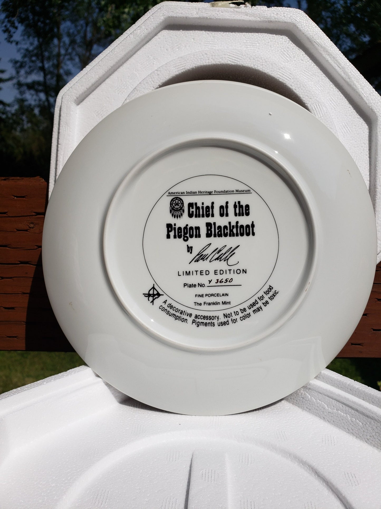 Franklin Mint- American Indian Heritage-1996 Chief of the Pigeon Blackfoot Plate