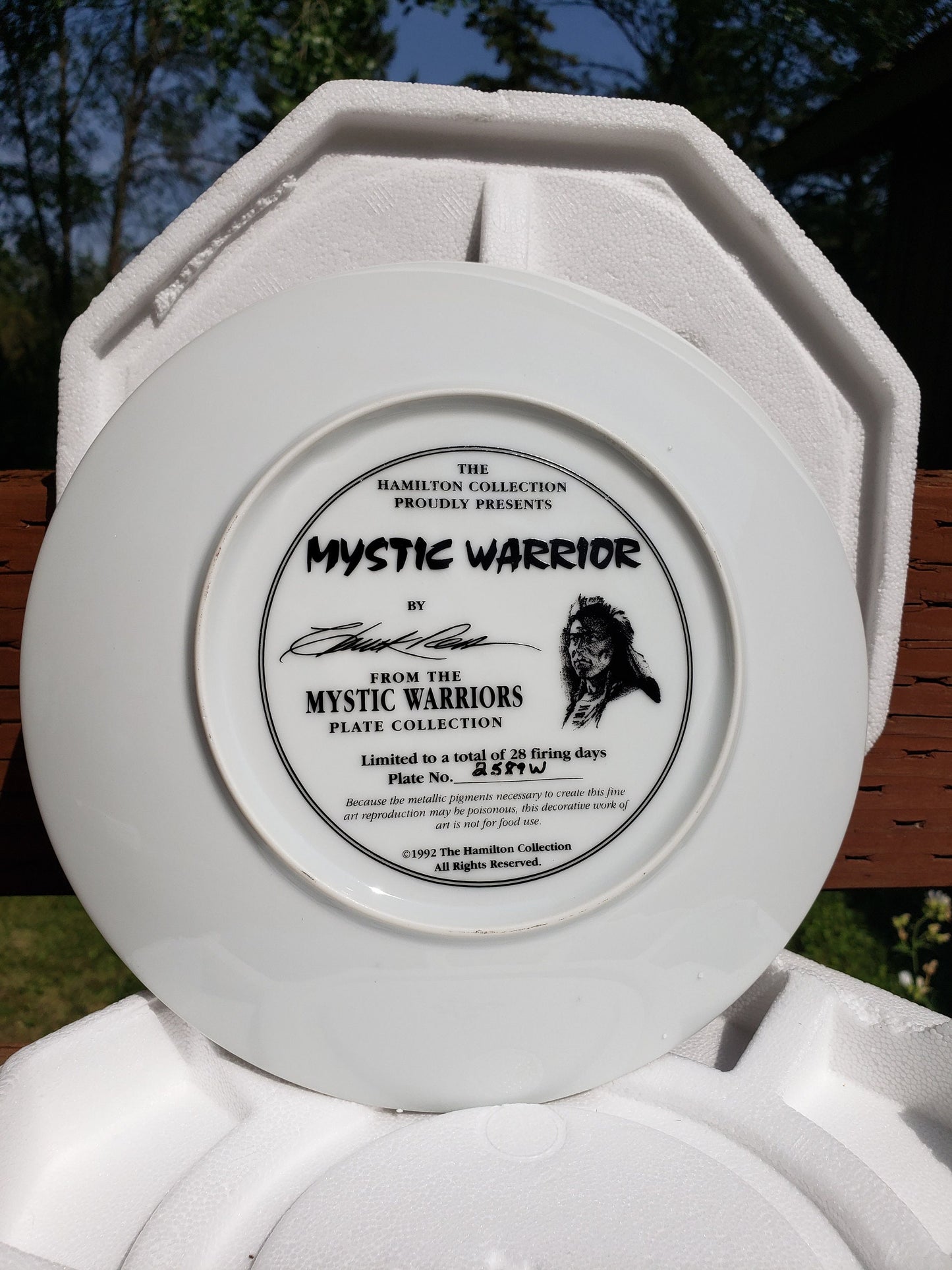 Hamilton Collection- Mystic Warrior Series- Mystic Warrior