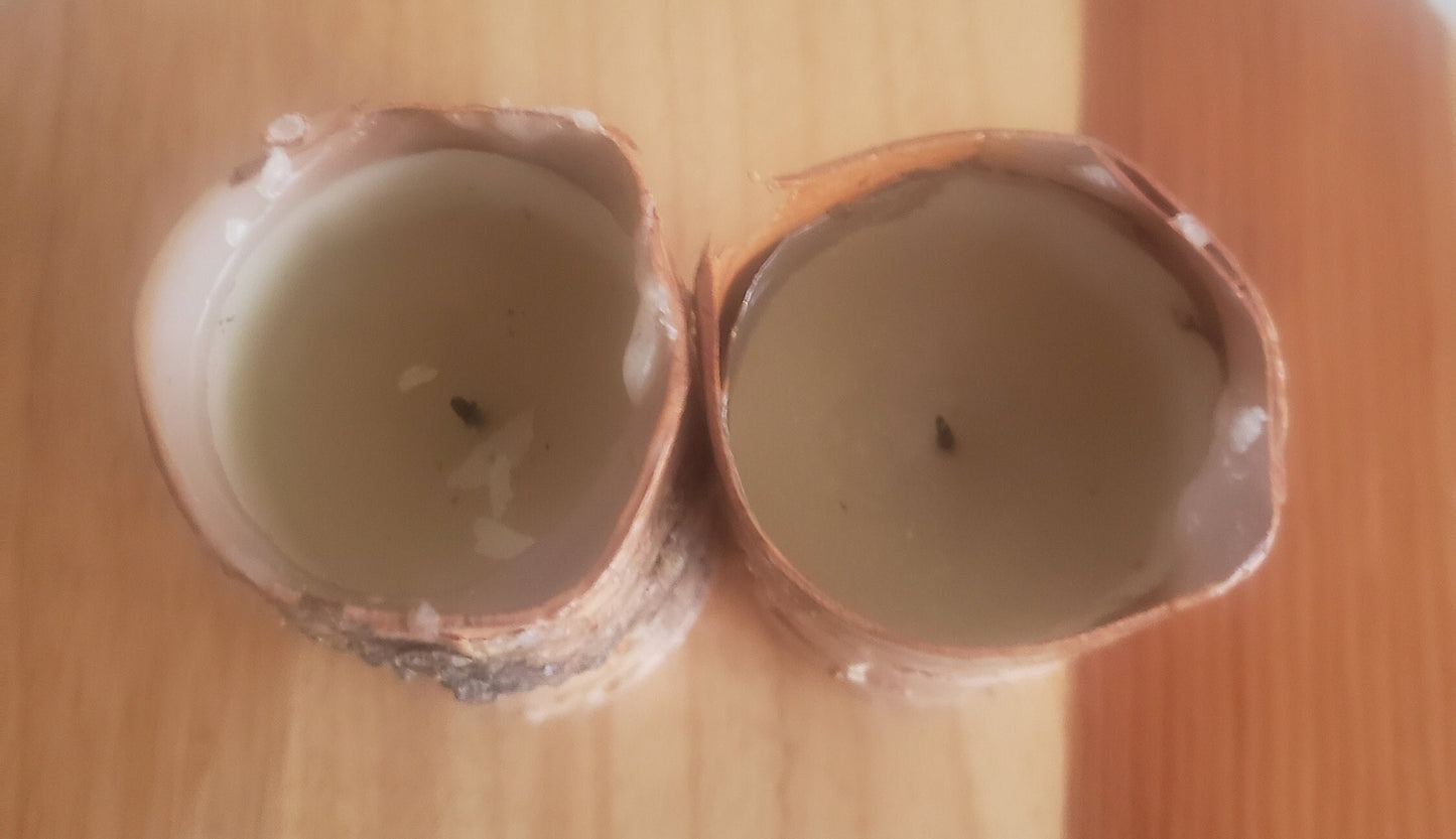 Vintage Birch Bark Candles-Set of 2