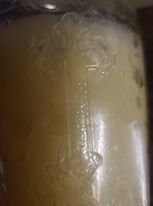 Root Candle Co 7-Day Candle in Glass Jar