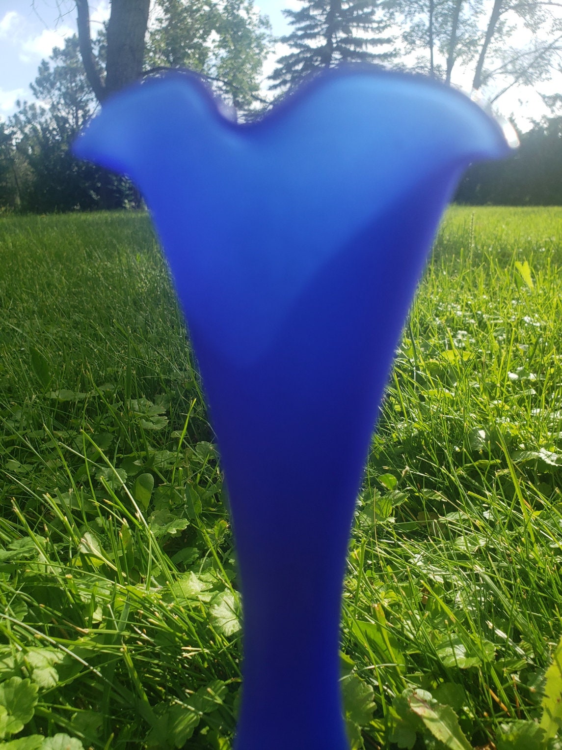 Handblown Cobalt Blue Frosted Glass Gooseneck Vase